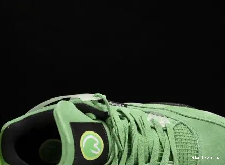 4 AJ4-904284 Oregon Duck Air PE  Green Jordan AJ4-904284  0704